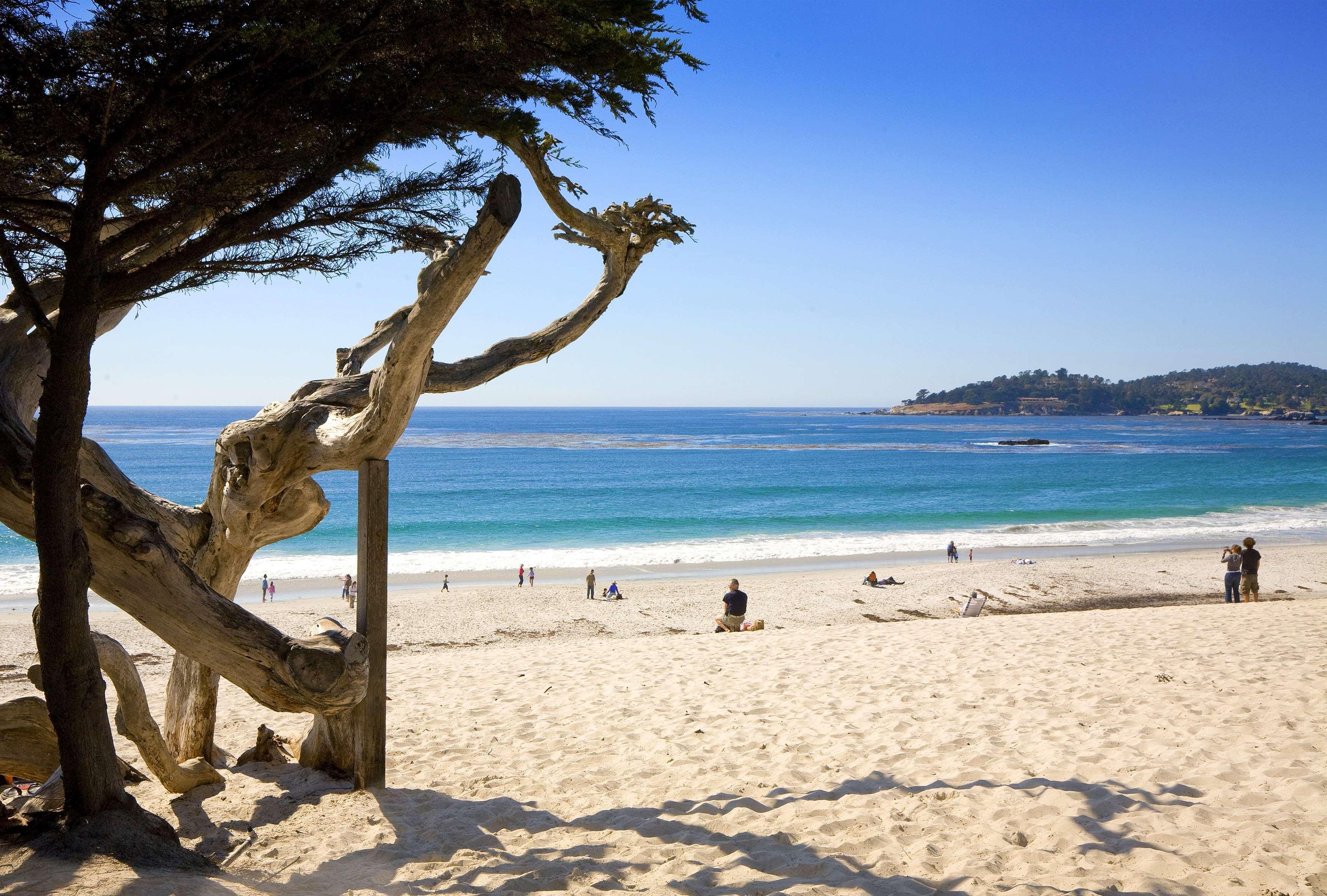 Готель Hyatt Carmel Highlands Зручності фото